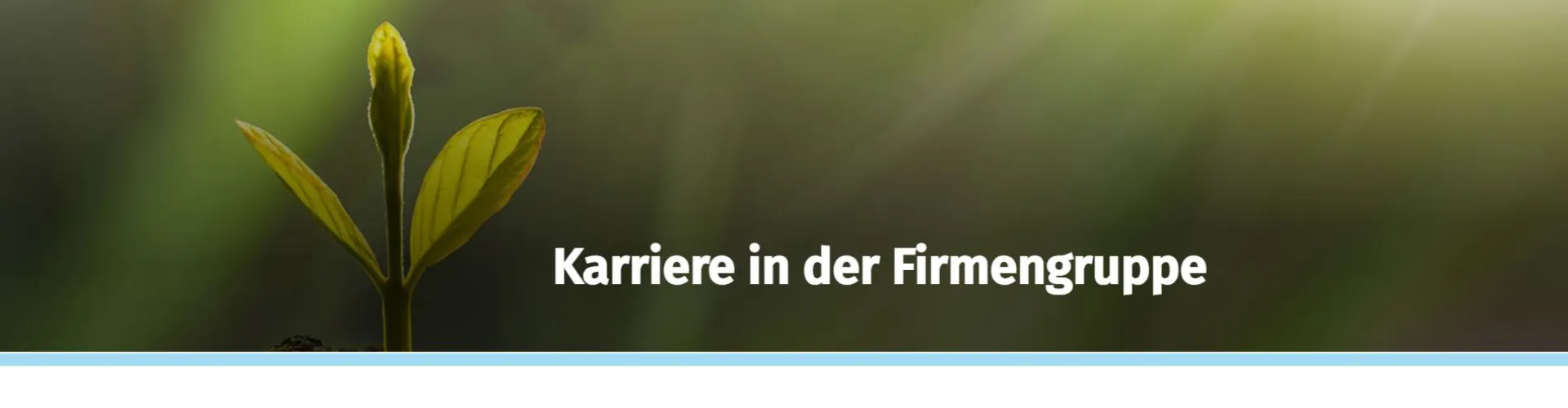 Rietzler Gruppe GmbH cover