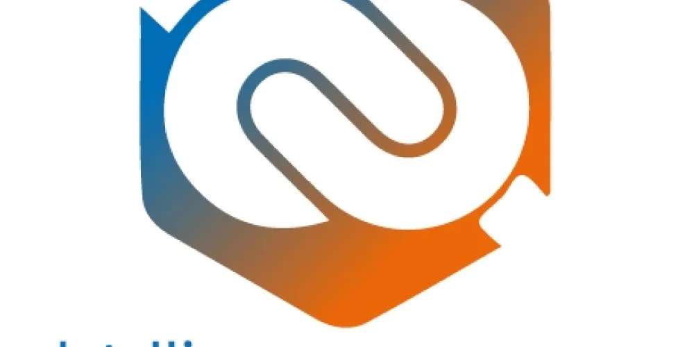 Intelligenz- & Karriereknoten GmbH