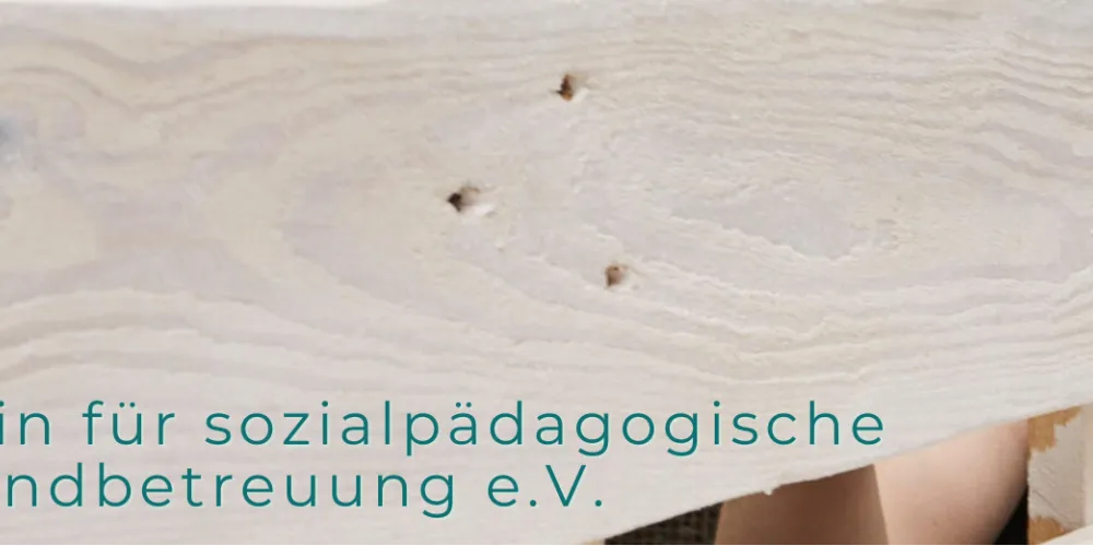 vsj Verein für sozialpädagogische Jugendbetreuung e.V.